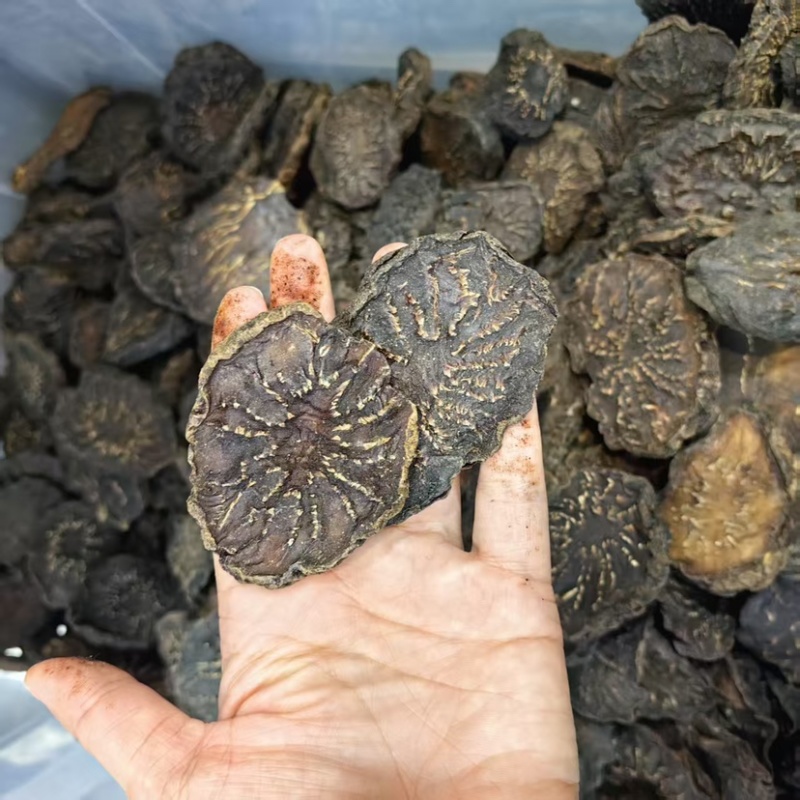 肉苁蓉肉苁蓉菊花纹可供大货量大价优可供批发零售