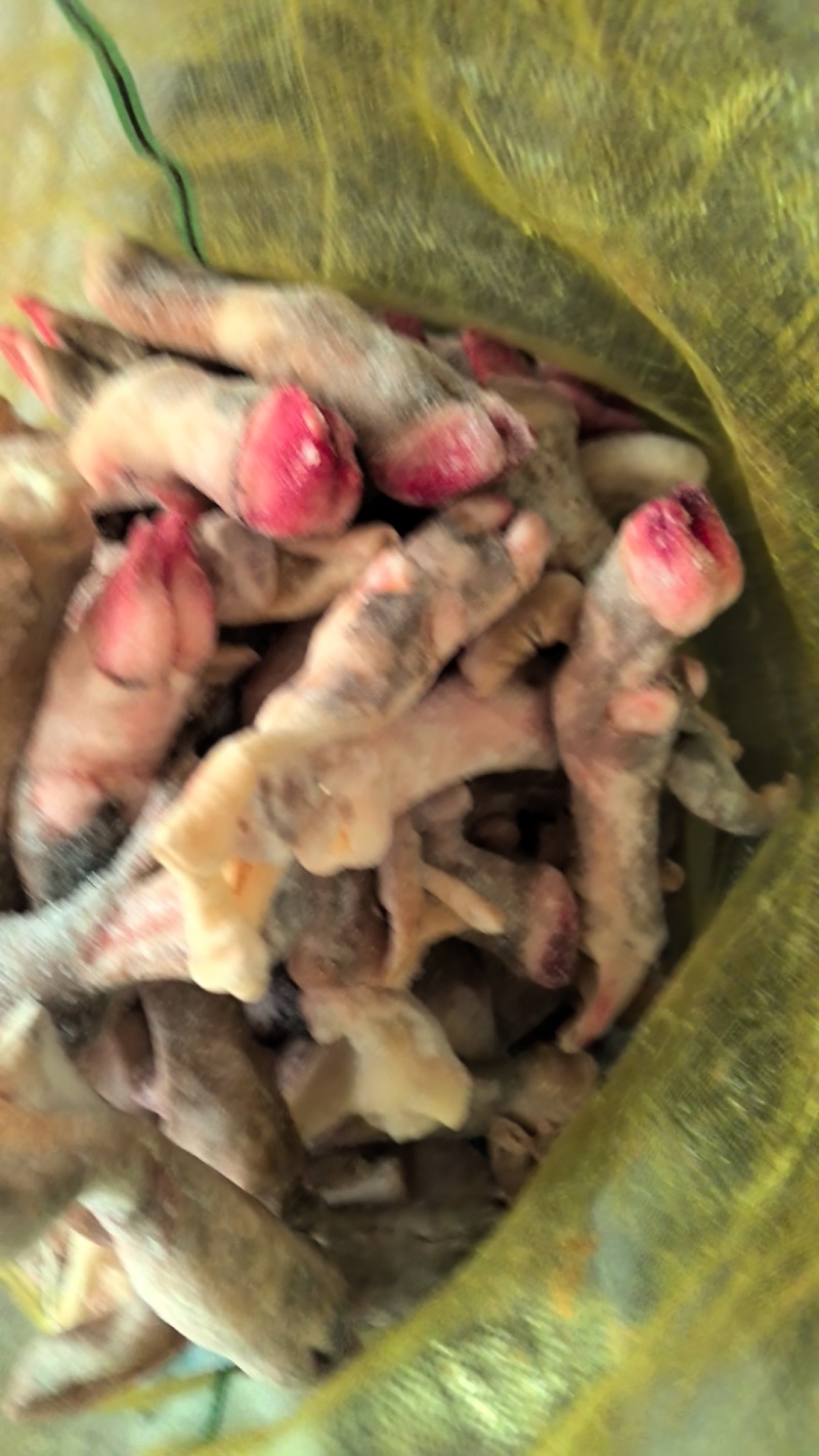 黑花羊蹄，一斤2个，一斤3个的都有质量挺好，欢迎您来采购
