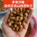 沙藏山桃芽种子嫁接桃苗包邮