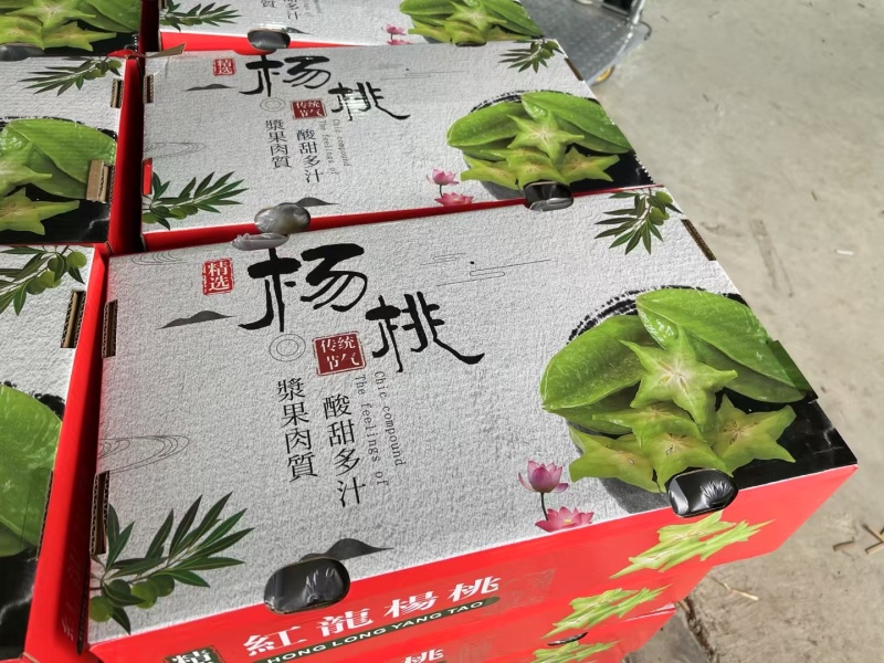 杨桃原产地直发，礼盒装/泡沫装可按您要求来