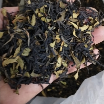 柠檬茶