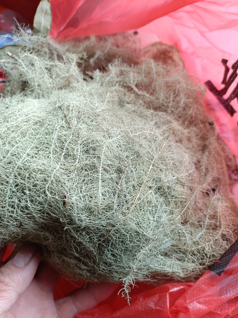 海风藤质量保证！