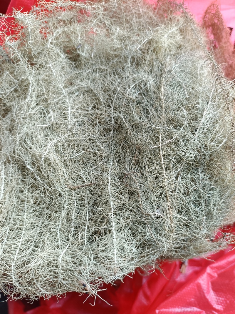海风藤质量保证！