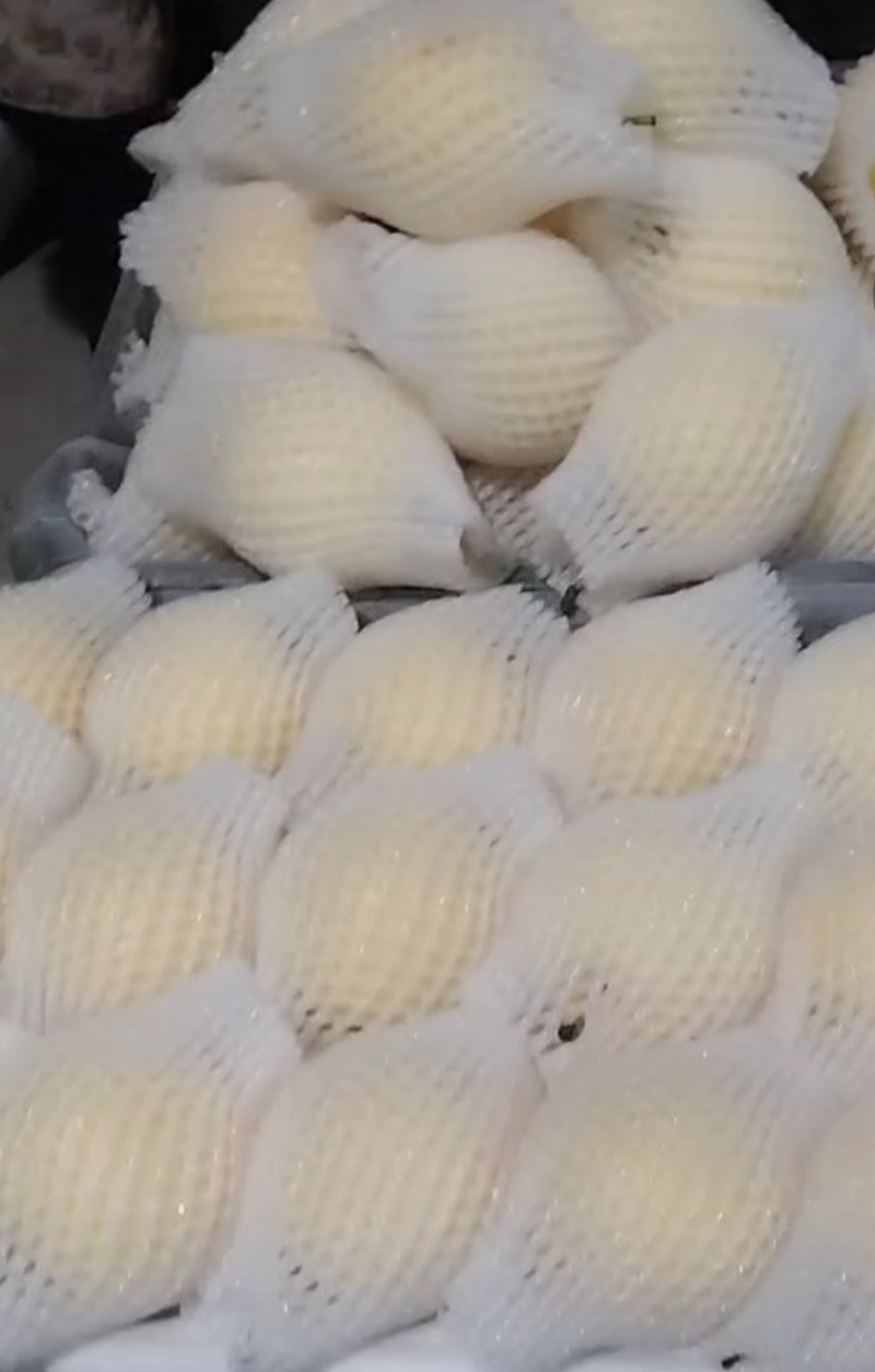 景泰精品光果皇冠，口感香甜，皮溥肉厚，光泽亮丽，优质产品