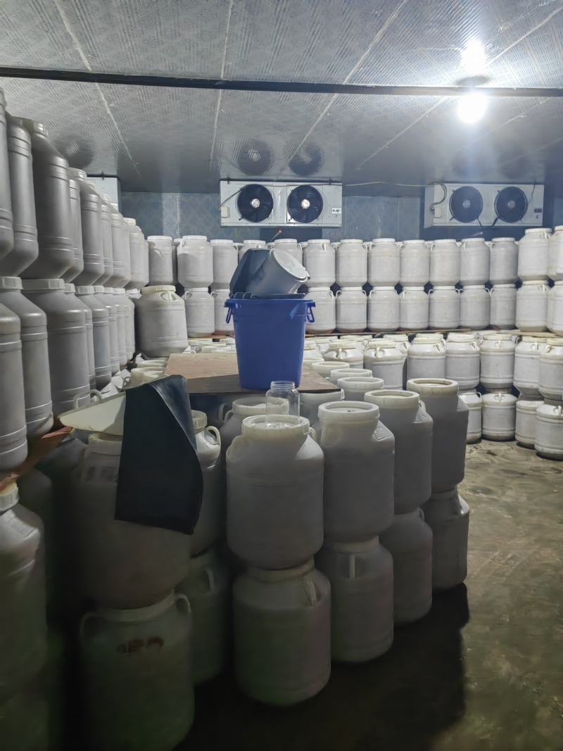 云南开远水泡梨