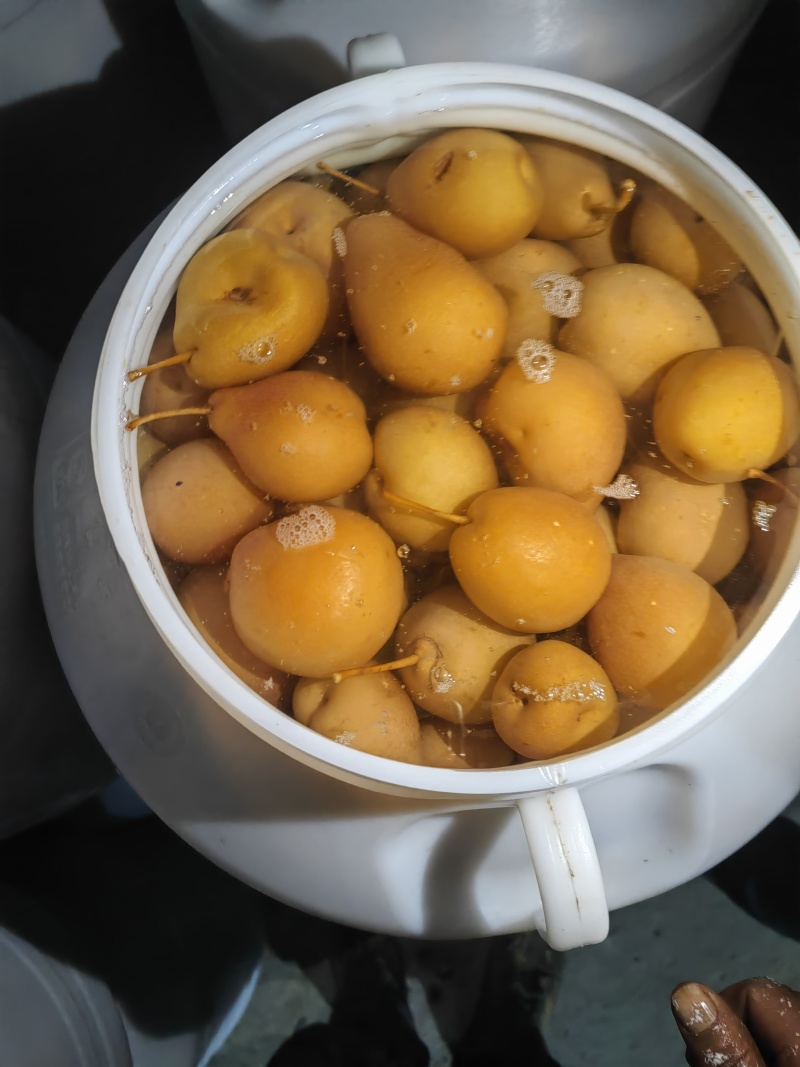 云南开远水泡梨