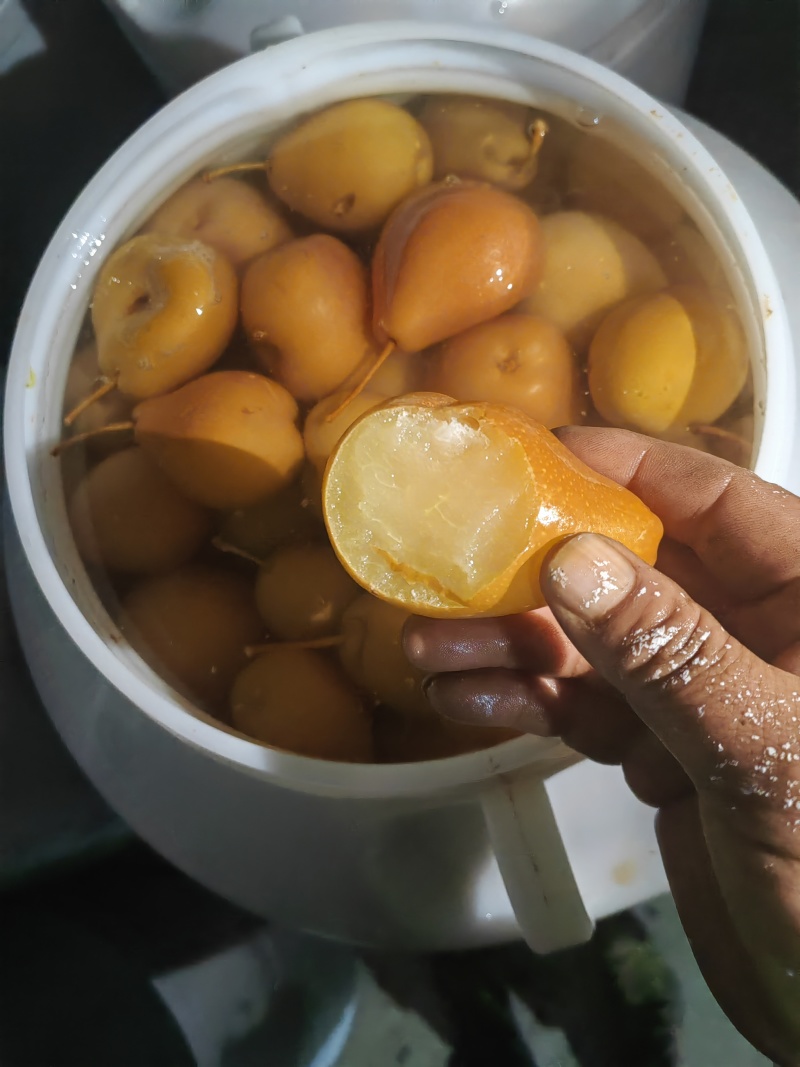 云南开远水泡梨
