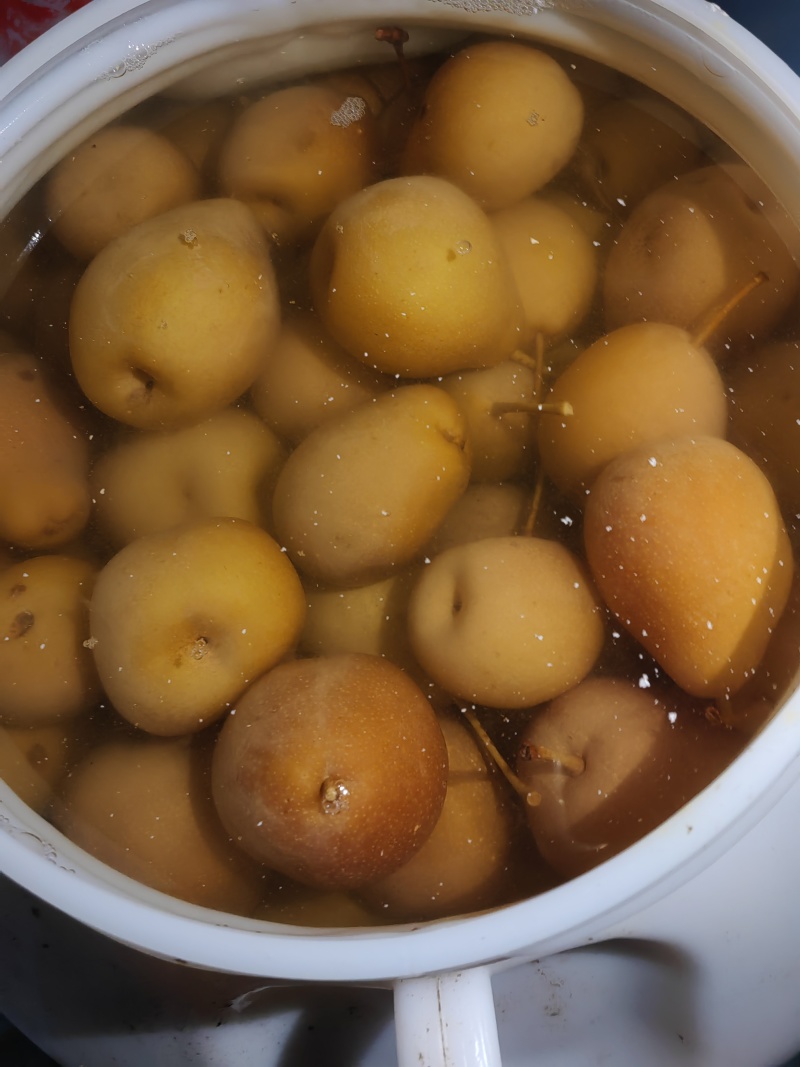 云南开远水泡梨