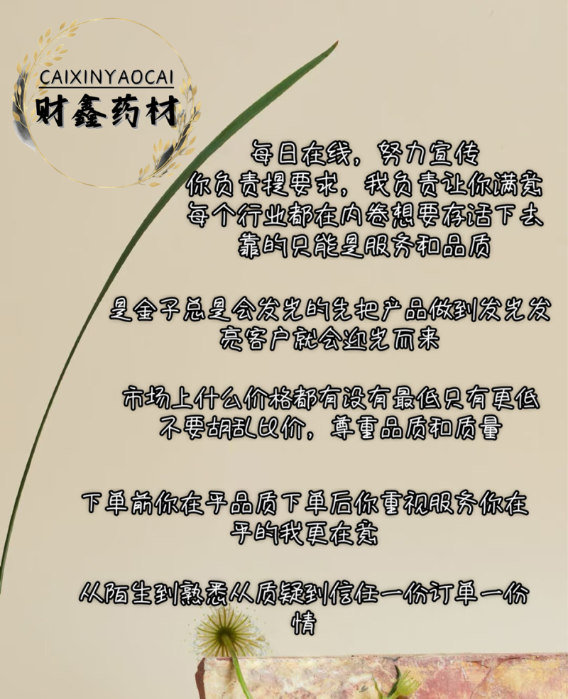 甘肃纯野生红芪片无硫色泽鲜量大从优欢迎咨询