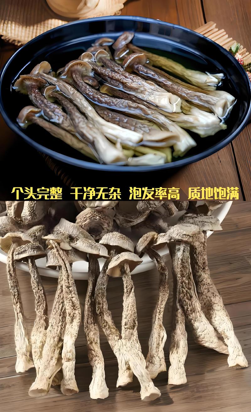 甄选福建鹿茸菇诚信商家卖品质好货欢迎全国老板前来