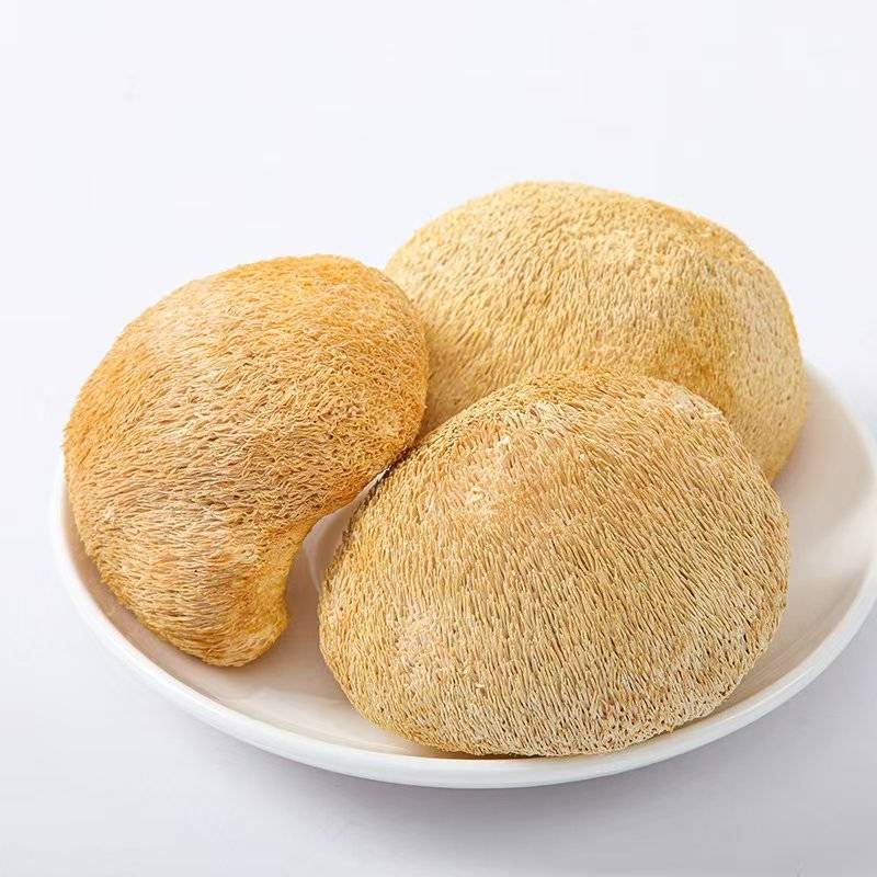 甄选猴头菇好的产品诚信经营量大从优致电留言有优惠