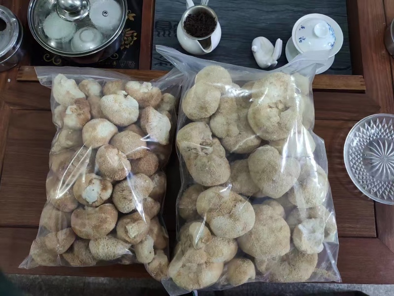 甄选猴头菇好的产品诚信经营量大从优致电留言有优惠