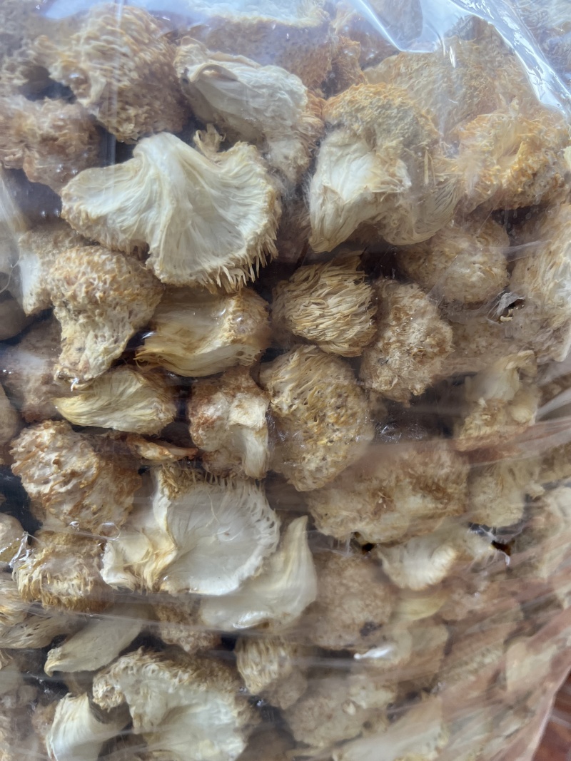 甄选猴头菇好的产品诚信经营量大从优致电留言有优惠