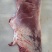 牛肉新鲜牛腿肉精修去油纯干货源头厂家批发