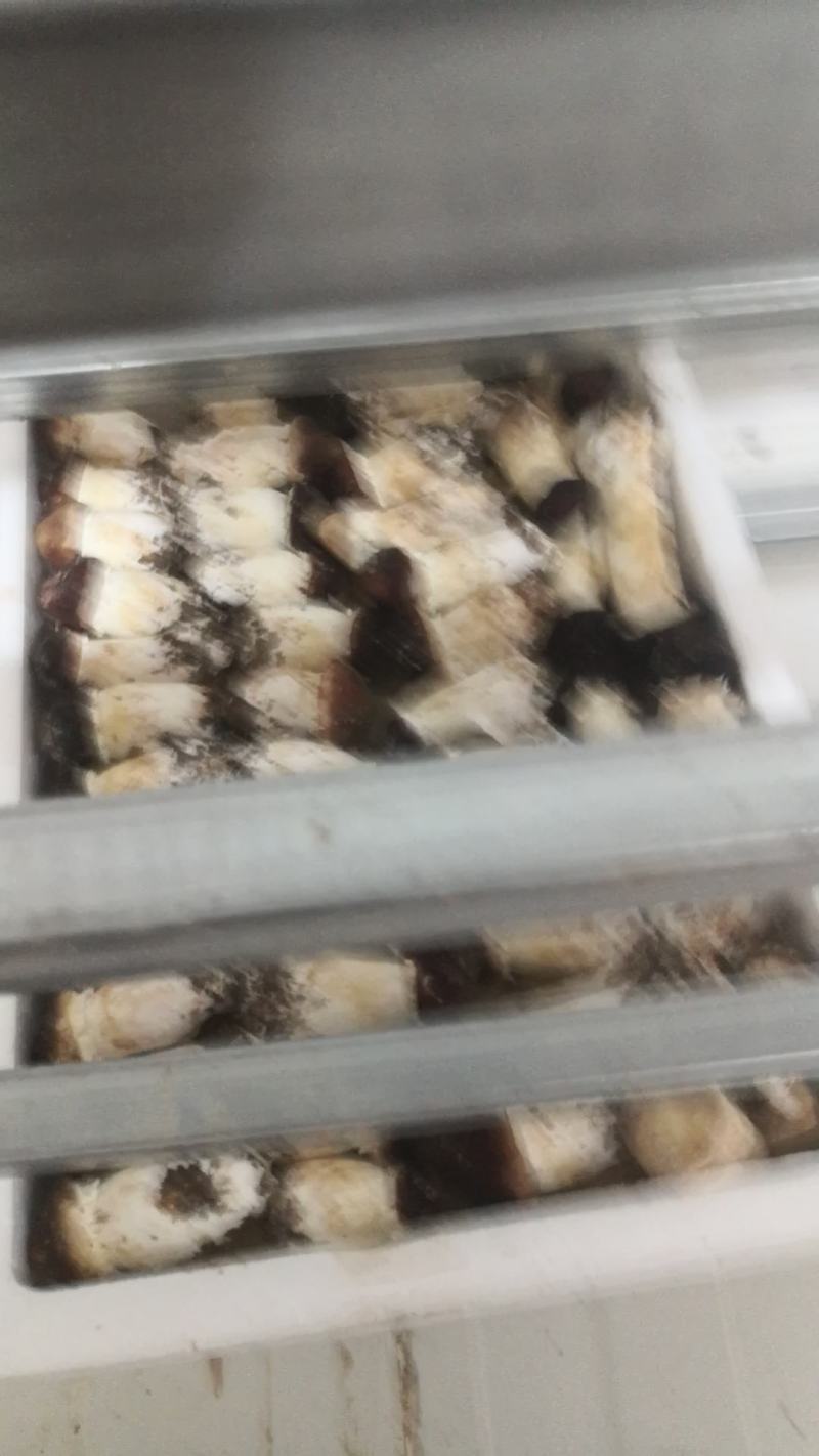 大球盖菇ABC电商团购货可议价