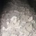 大球盖菇ABC电商团购货可议价