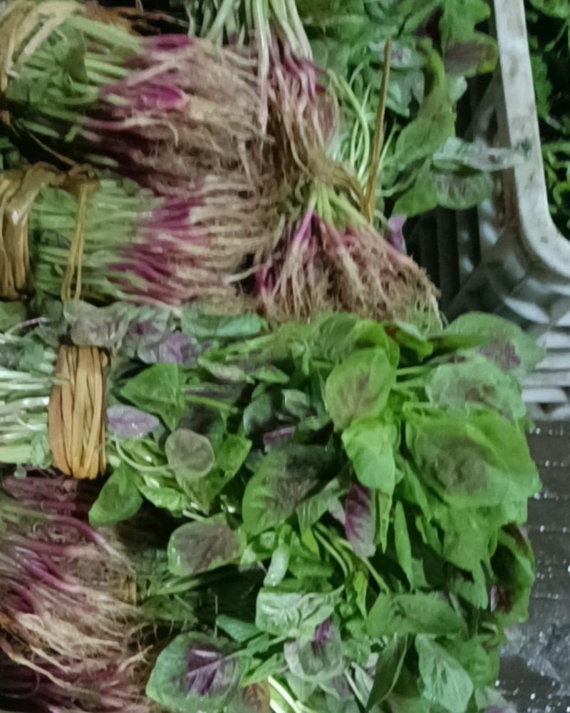 汉菜