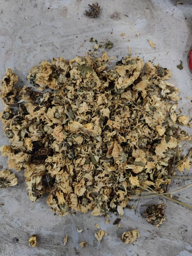 菊花