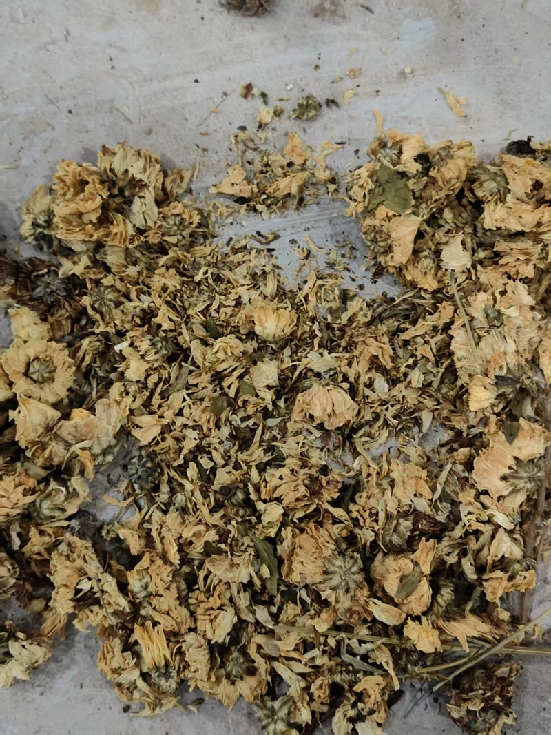 菊花