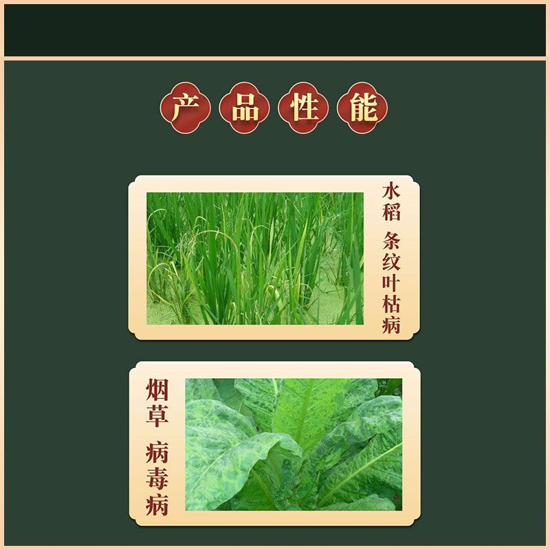 2%香菇多糖病毒病效果好条纹叶枯病