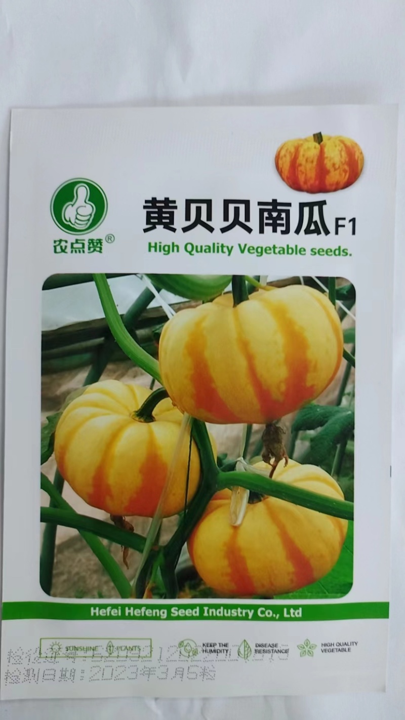 黄贝贝南瓜种子-早熟迷你粉糯香甜杂交种口感佳适应性强