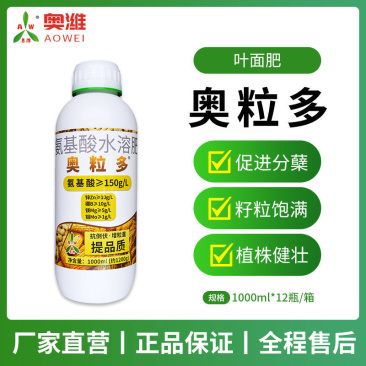奥丰奥粒多籽多粒饱植株健壮籽粒饱满