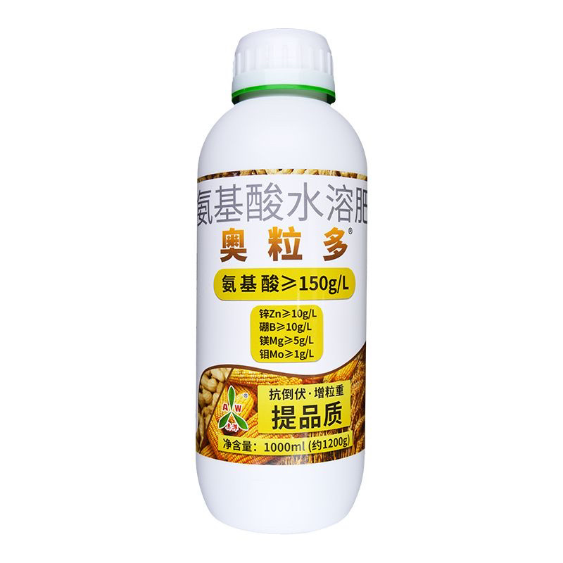 奥丰奥粒多籽多粒饱植株健壮籽粒饱满