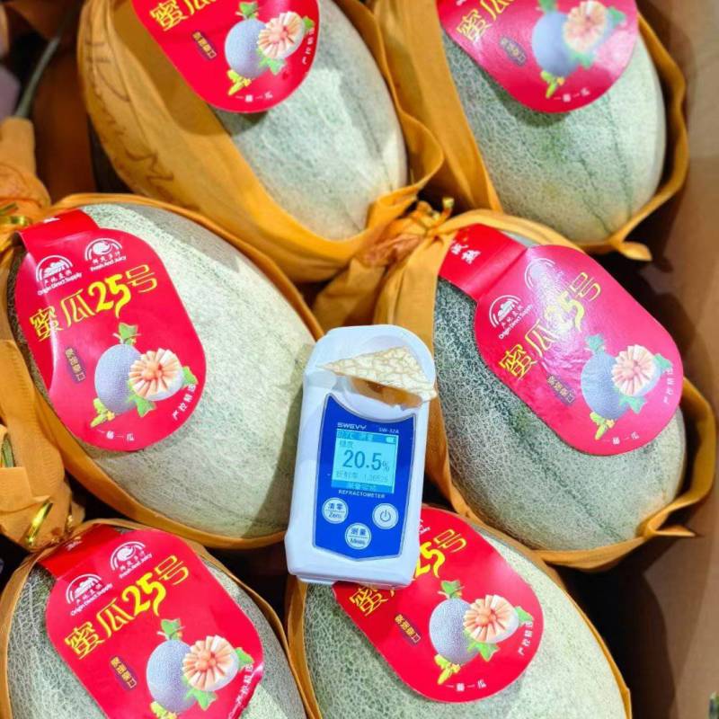 海南哈密瓜精品晓蜜25哈密瓜产地发货品质保证发货全国