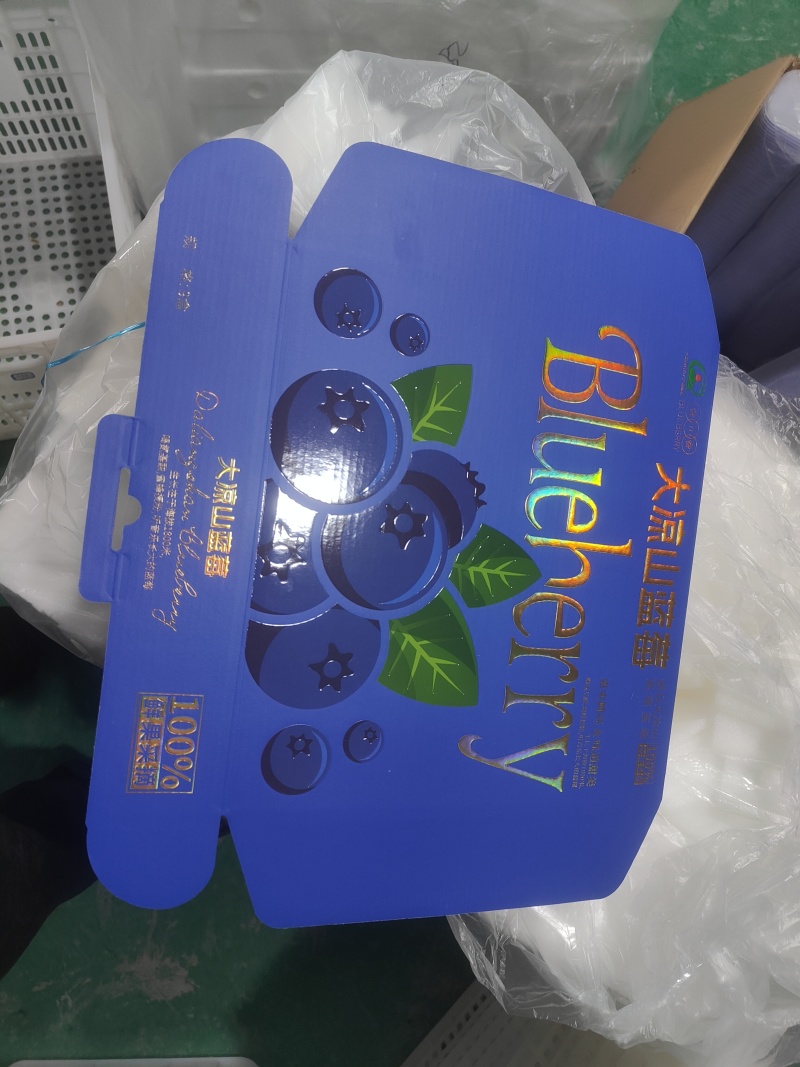大凉山蓝莓玫瑰香L25蓝莓包装齐全产量充足欢迎各大电商