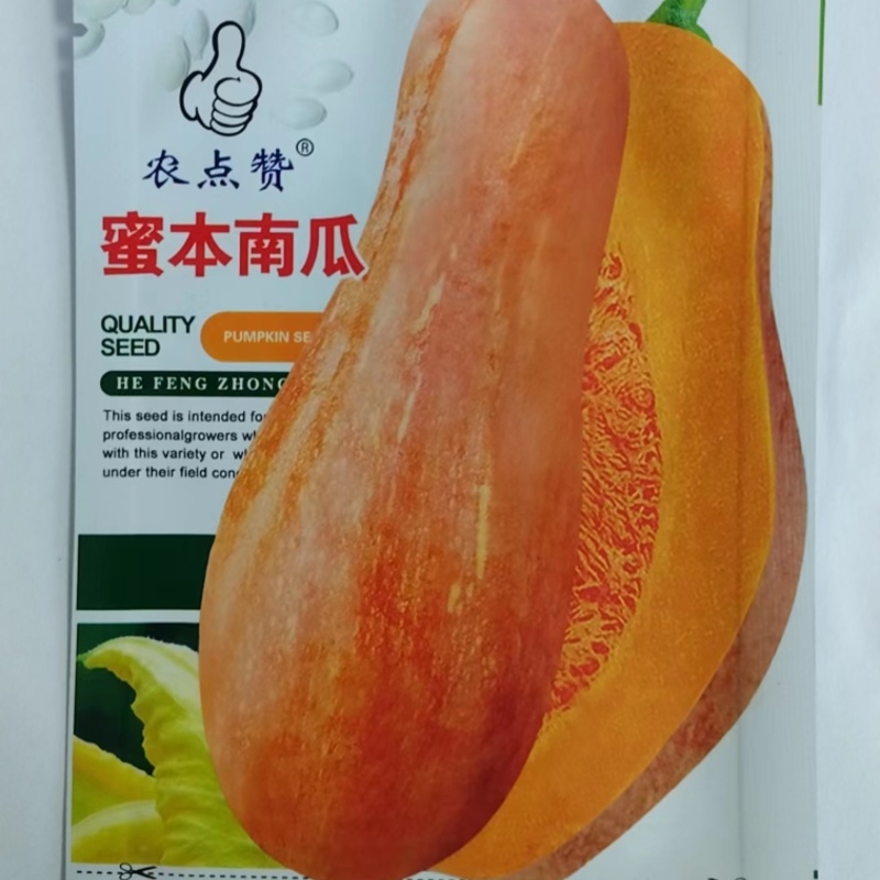 密本南瓜-南瓜种子软糯香甜种植简单味甜品质优