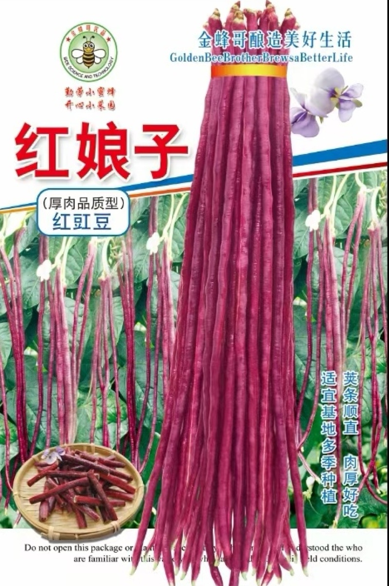 红豇豆种子红娘子新育成特色紫红色长豇豆品种品质好