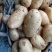 云南精品土豆丽薯6号基地直供量大从优供全国商超