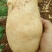 云南精品土豆丽薯6号基地直供量大从优供全国商超