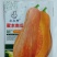 密本南瓜-南瓜种子软糯香甜种植简单味甜品质优