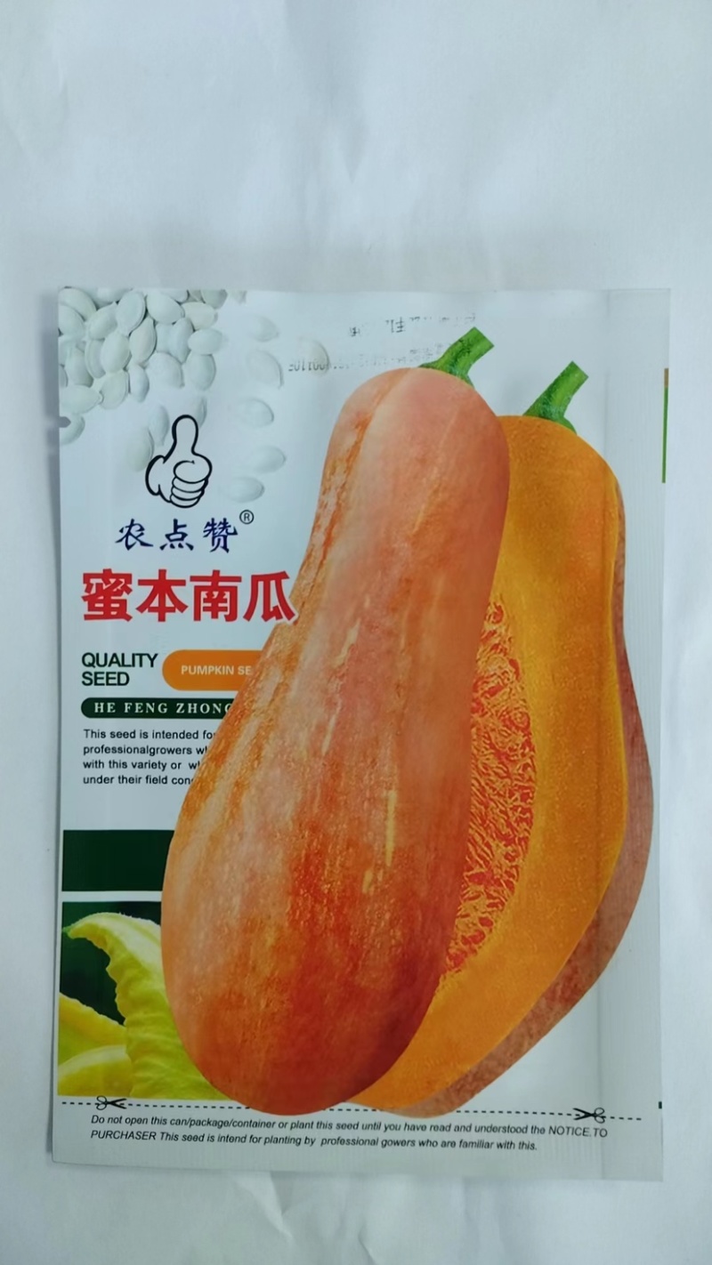 密本南瓜-南瓜种子软糯香甜种植简单味甜品质优