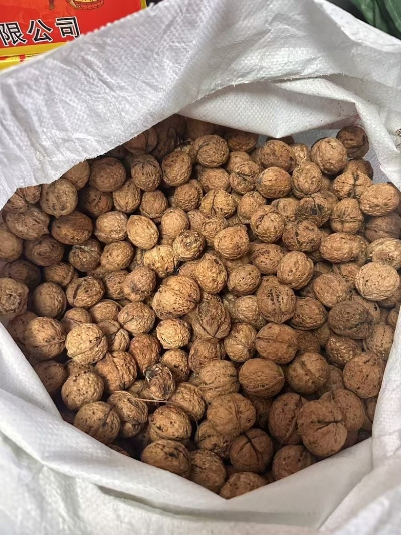 云南麻子核桃新疆核桃