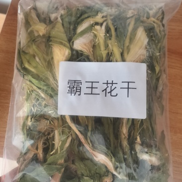 冲蒌霸王花干
