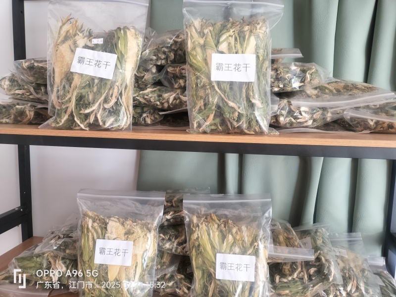 冲蒌霸王花干