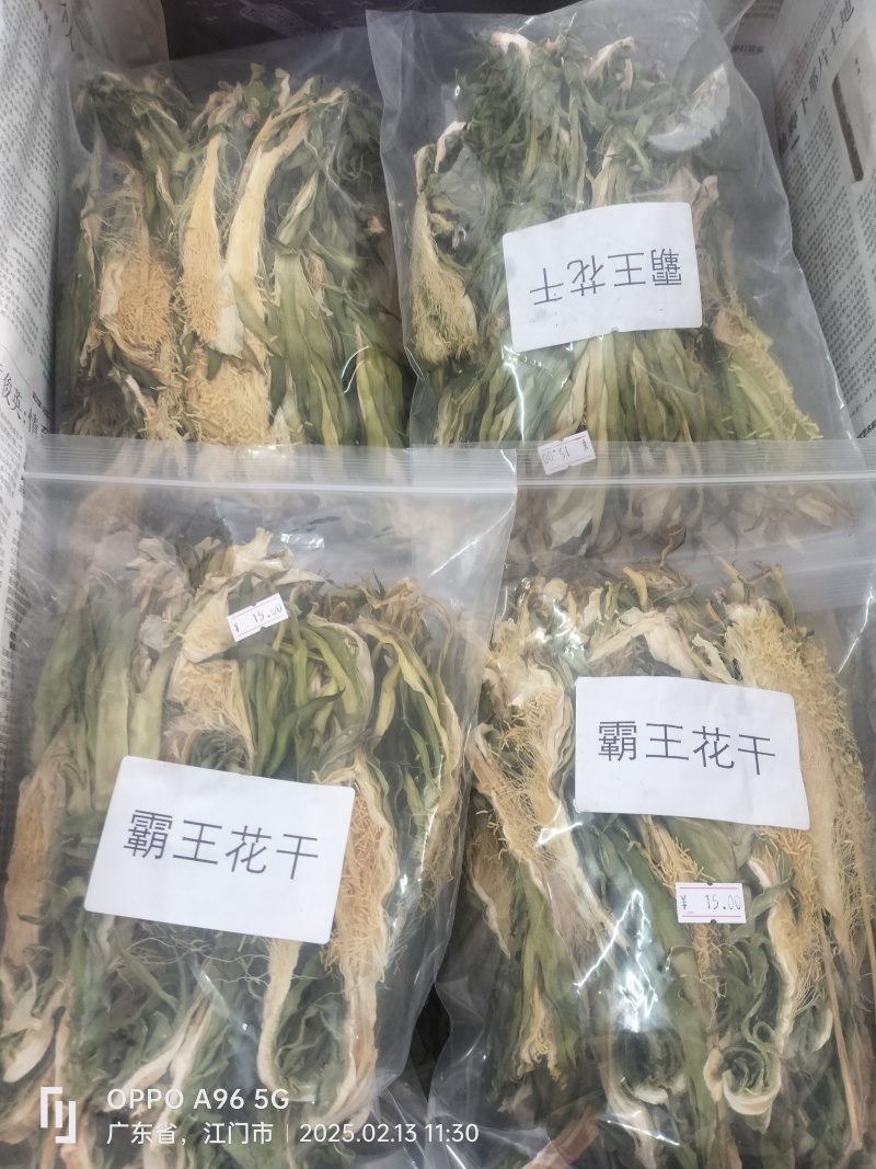 冲蒌霸王花干
