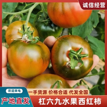 杠六九水果西红柿