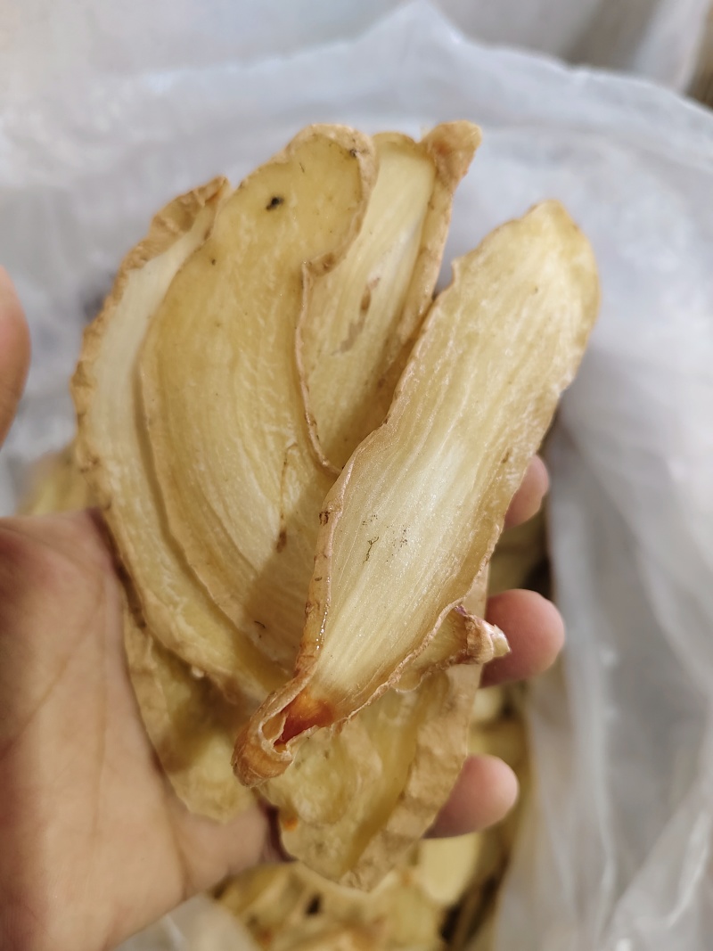 天麻中心片