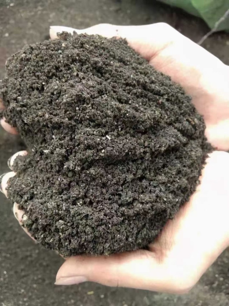 【口碑好肥料】生物有机菌肥厂家直发品质保证欢迎选购