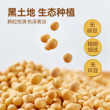 精品大豆，内蒙古农家黄豆，高蛋白非转基因