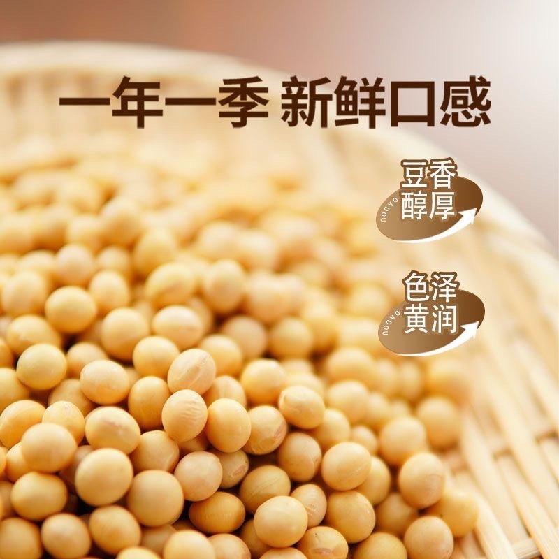 精品大豆，内蒙古农家黄豆，高蛋白非转基因