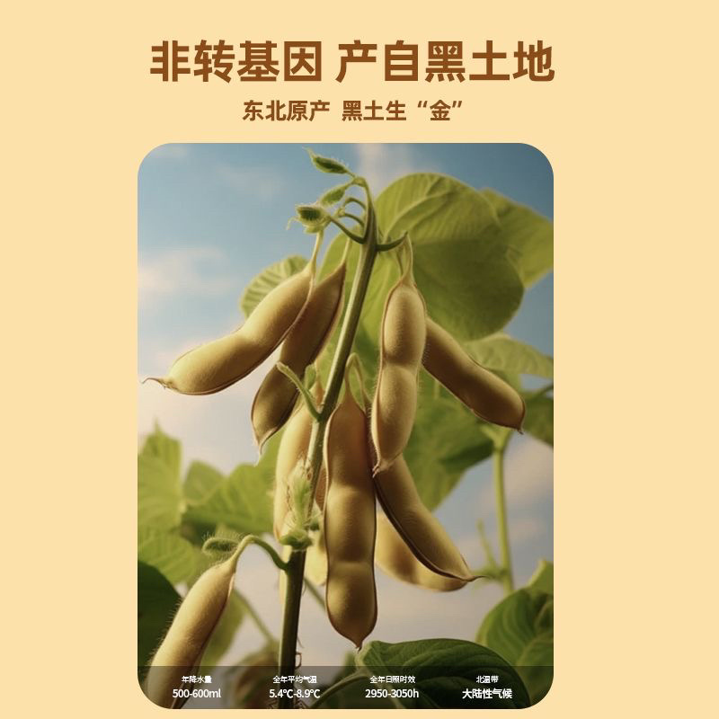 精品大豆，内蒙古农家黄豆，高蛋白非转基因