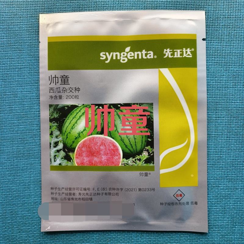 帅童小型无籽西瓜种子果实近球形口感好抗逆性强皮韧耐裂果