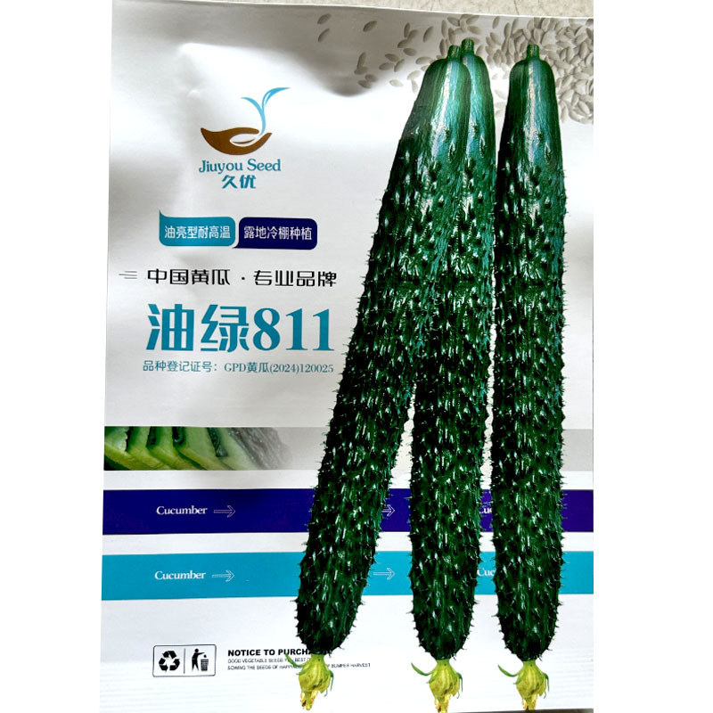黄瓜种子黑油亮油亮绿肉深绿色绿瓤瓜条顺直春秋栽培