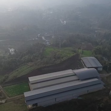 重庆大足养殖场羊场转让手续齐全设施完善政策扶持