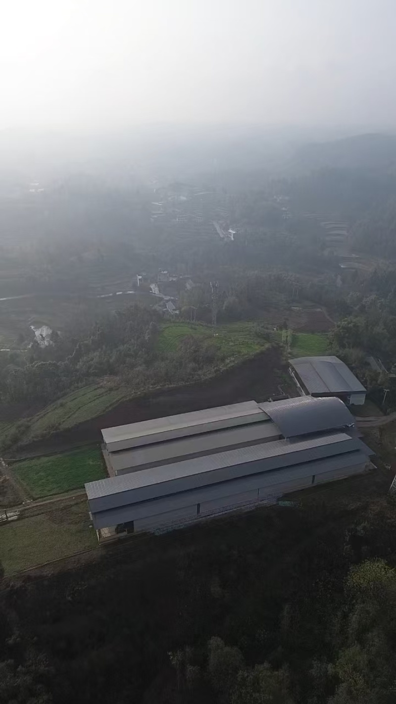重庆大足养殖场羊场转让手续齐全设施完善政策扶持