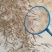 优质虹金鳟鱼苗